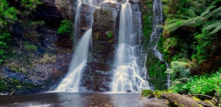 Wes Beckett Waterfall, Tarkine Northern Tasmania