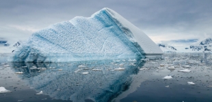Blue Iceberg Reflections in Antarctic Peninsula waters